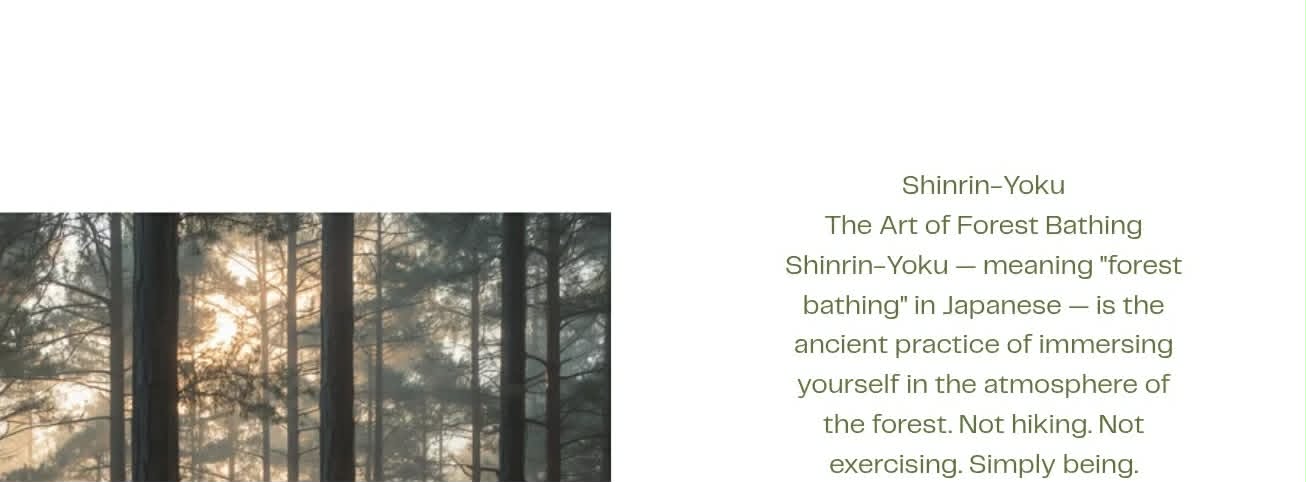 🌲 Whispering Pines: A 7-Day Shinrin-Yoku Journey ~ Digital Download