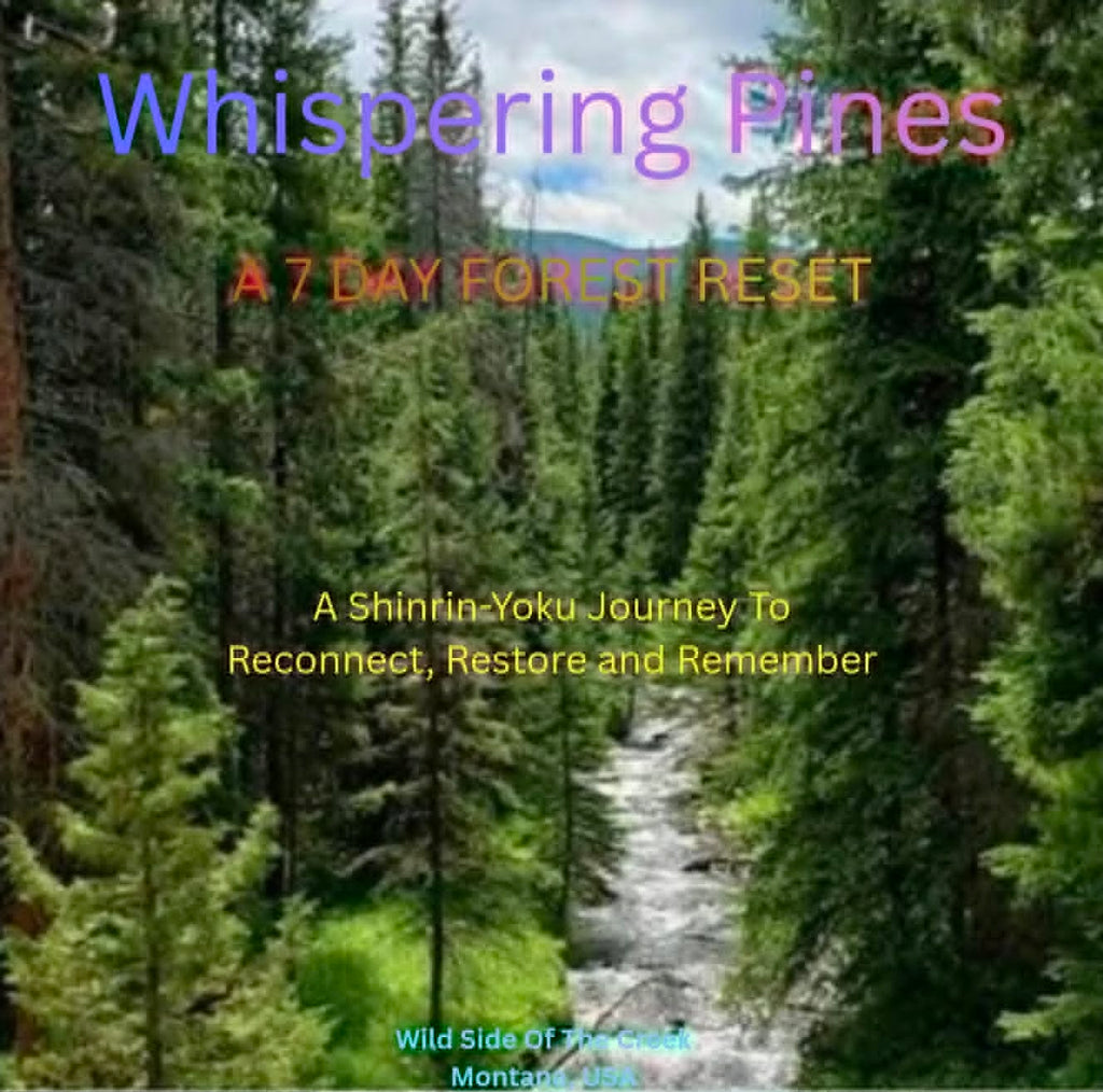 🌲 Whispering Pines: A 7-Day Shinrin-Yoku Journey ~ Digital Download