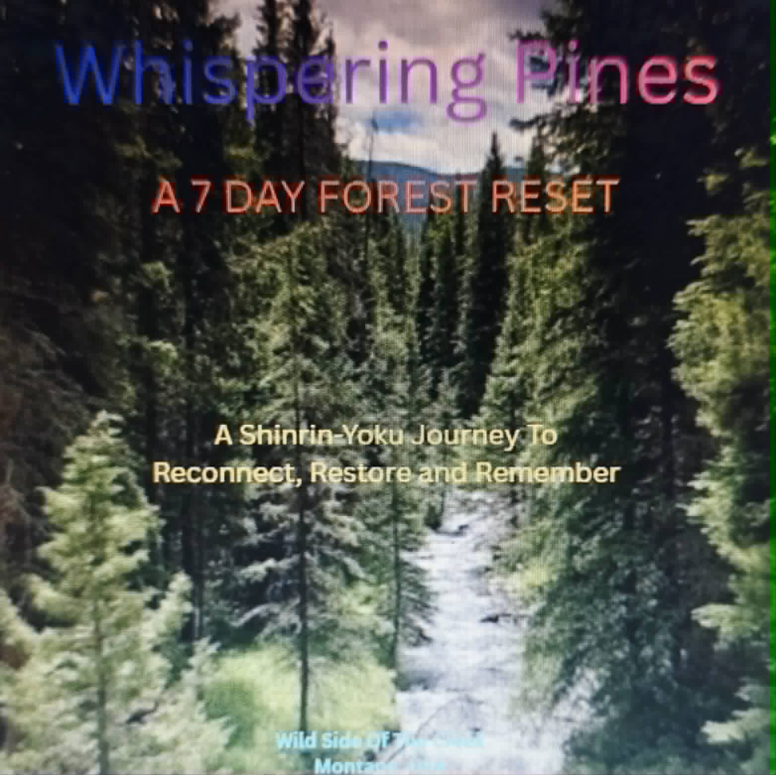 🌲 Whispering Pines: A 7-Day Shinrin-Yoku Journey